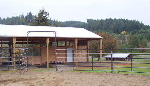 View from Round Pen